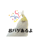 毎日sunny♡2（個別スタンプ：27）