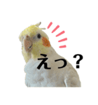 毎日sunny♡2（個別スタンプ：28）