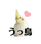毎日sunny♡2（個別スタンプ：30）