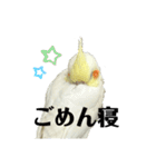 毎日sunny♡2（個別スタンプ：31）
