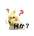 毎日sunny♡2（個別スタンプ：34）