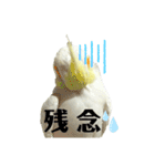 毎日sunny♡2（個別スタンプ：36）