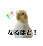 毎日sunny♡2（個別スタンプ：40）