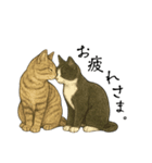 キジとハチワレ（個別スタンプ：6）