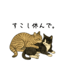 キジとハチワレ（個別スタンプ：13）