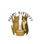 キジとハチワレ（個別スタンプ：15）