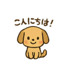 愛くるしいワンちゃん（個別スタンプ：1）