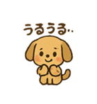 愛くるしいワンちゃん（個別スタンプ：6）