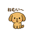 愛くるしいワンちゃん（個別スタンプ：8）
