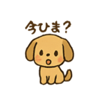愛くるしいワンちゃん（個別スタンプ：11）
