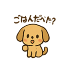 愛くるしいワンちゃん（個別スタンプ：12）