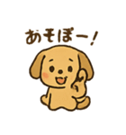 愛くるしいワンちゃん（個別スタンプ：13）