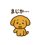 愛くるしいワンちゃん（個別スタンプ：19）