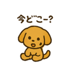 愛くるしいワンちゃん（個別スタンプ：20）