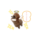 うずゆずスタンプ（個別スタンプ：2）