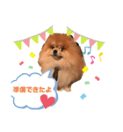 うずゆずスタンプ（個別スタンプ：4）