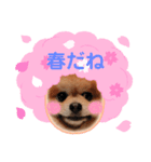 うずゆずスタンプ（個別スタンプ：6）