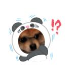 うずゆずスタンプ（個別スタンプ：7）