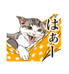 ツンデレを使い分けるネコのスタンプ（個別スタンプ：6）