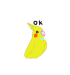 バード ちゃん（個別スタンプ：2）