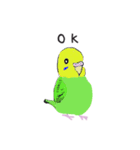 バード ちゃん（個別スタンプ：6）