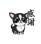チワワの『チビちゃん』スタンプ（個別スタンプ：4）