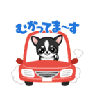 チワワの『チビちゃん』スタンプ（個別スタンプ：6）