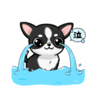 チワワの『チビちゃん』スタンプ（個別スタンプ：8）