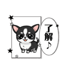 チワワの『チビちゃん』スタンプ（個別スタンプ：12）