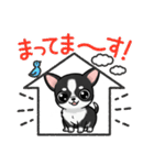 チワワの『チビちゃん』スタンプ（個別スタンプ：13）