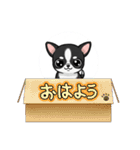 チワワの『チビちゃん』スタンプ（個別スタンプ：15）