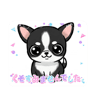 チワワの『チビちゃん』スタンプ（個別スタンプ：16）