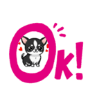 チワワの『チビちゃん』スタンプ（個別スタンプ：18）