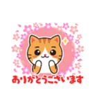 行くよ、どんどんいくよ（個別スタンプ：19）