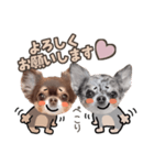 うにちゃんと、ほたてくん。【3】（個別スタンプ：4）