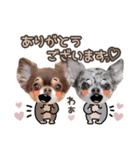うにちゃんと、ほたてくん。【3】（個別スタンプ：6）