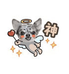 うにちゃんと、ほたてくん。【3】（個別スタンプ：7）