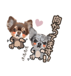 うにちゃんと、ほたてくん。【3】（個別スタンプ：10）