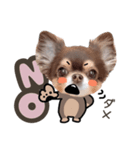 うにちゃんと、ほたてくん。【3】（個別スタンプ：13）