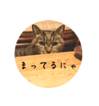 グーちゃんひなちゃんの挨拶（個別スタンプ：5）