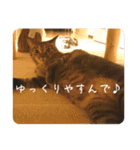 グーちゃんひなちゃんの挨拶（個別スタンプ：6）