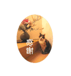 グーちゃんひなちゃんの挨拶（個別スタンプ：21）