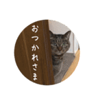 グーちゃんひなちゃんの挨拶（個別スタンプ：22）