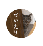 グーちゃんひなちゃんの挨拶（個別スタンプ：23）