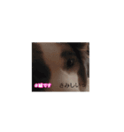 いぬ2 ささみ（個別スタンプ：6）