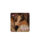 いぬ2 ささみ（個別スタンプ：8）