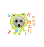 マルプーみるくスタンプ（個別スタンプ：3）
