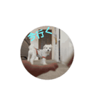 うごく、まるた。（個別スタンプ：4）