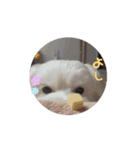 うごく、まるた。（個別スタンプ：7）