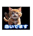 毎日使えるかわいい子猫の挨拶スタンプ（個別スタンプ：17）